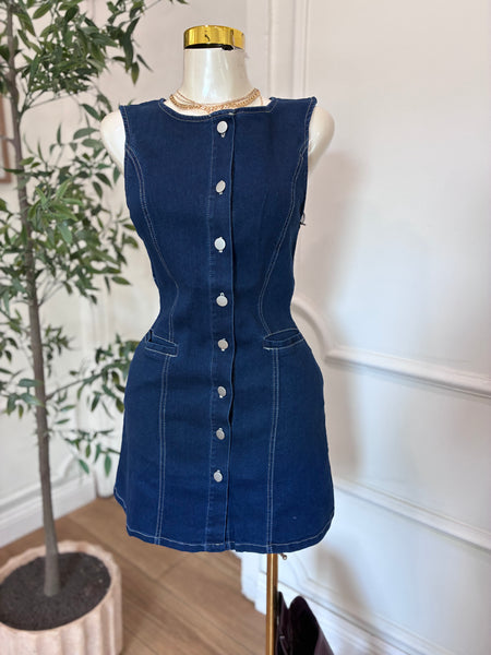 HADLEY DENIM DRESS