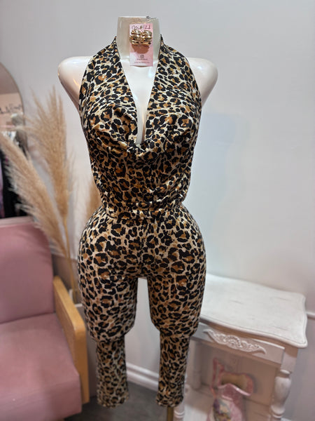 WILD INSTINCT CAPRI SET