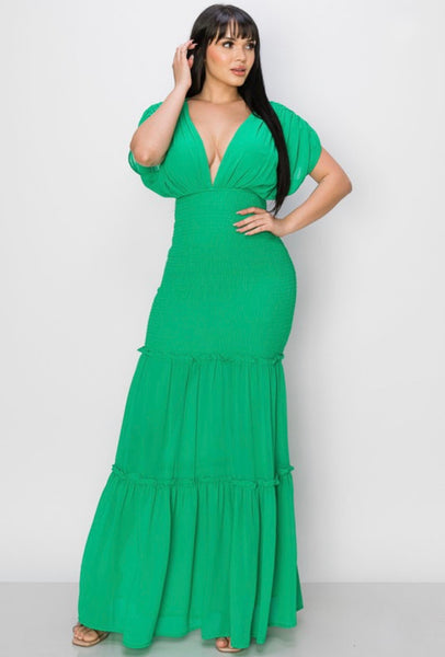 ARI MAXI